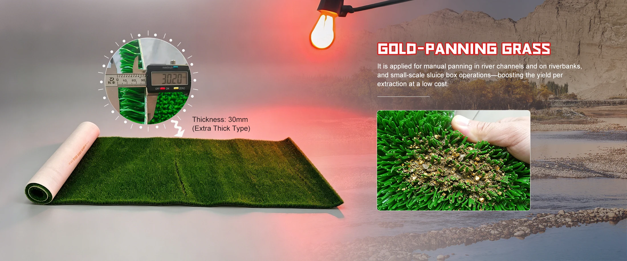 Çin Qızıl-panning Grass İstehsalçı və Təchizatçı Çin Qızıl-panning Grass İstehsalçı və Təchizatçı